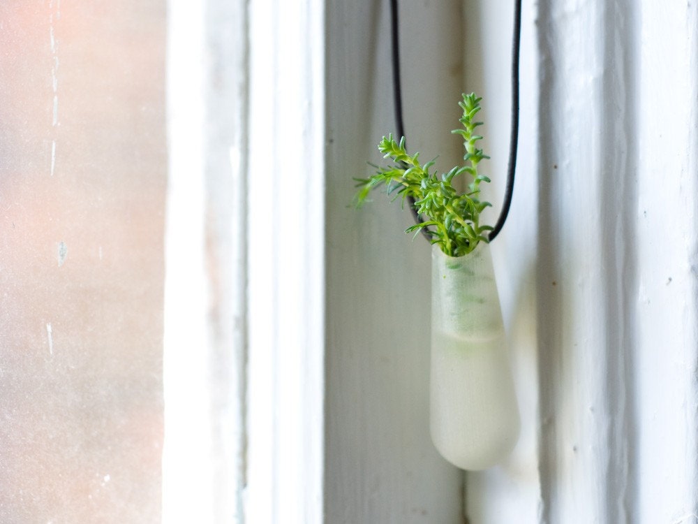 Wearable Planter No. 2, in Translucent