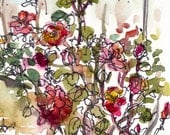 Red roses in bloom garden art watercolor sketch - 8x10 print