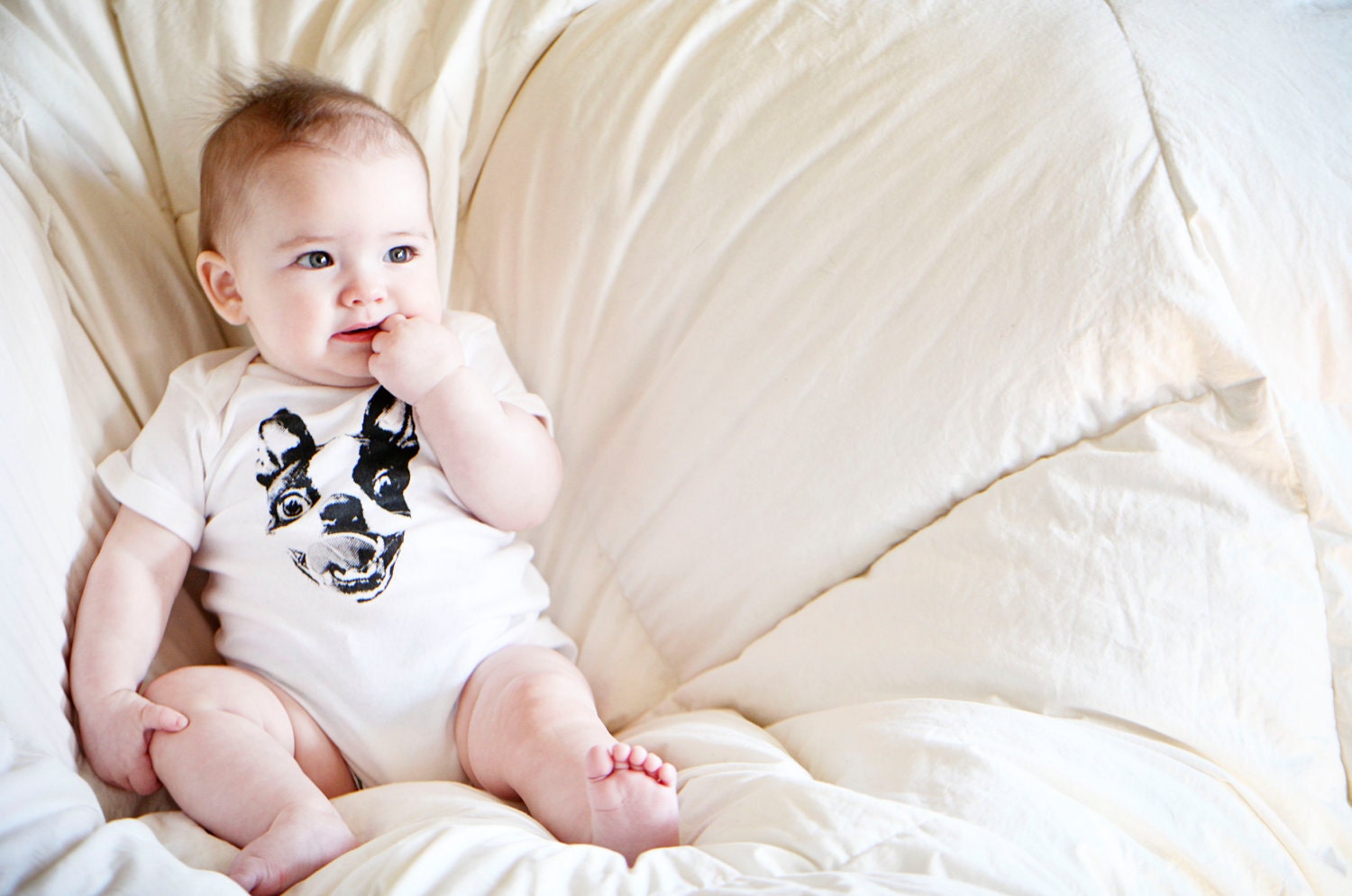 Boston Terrier White Blue Pink  Logo Baby Onesie Body Suit NB-6M-12M-18-M-24M FREE Shipping