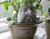 Flower Pot Men, Two Funny Faces
