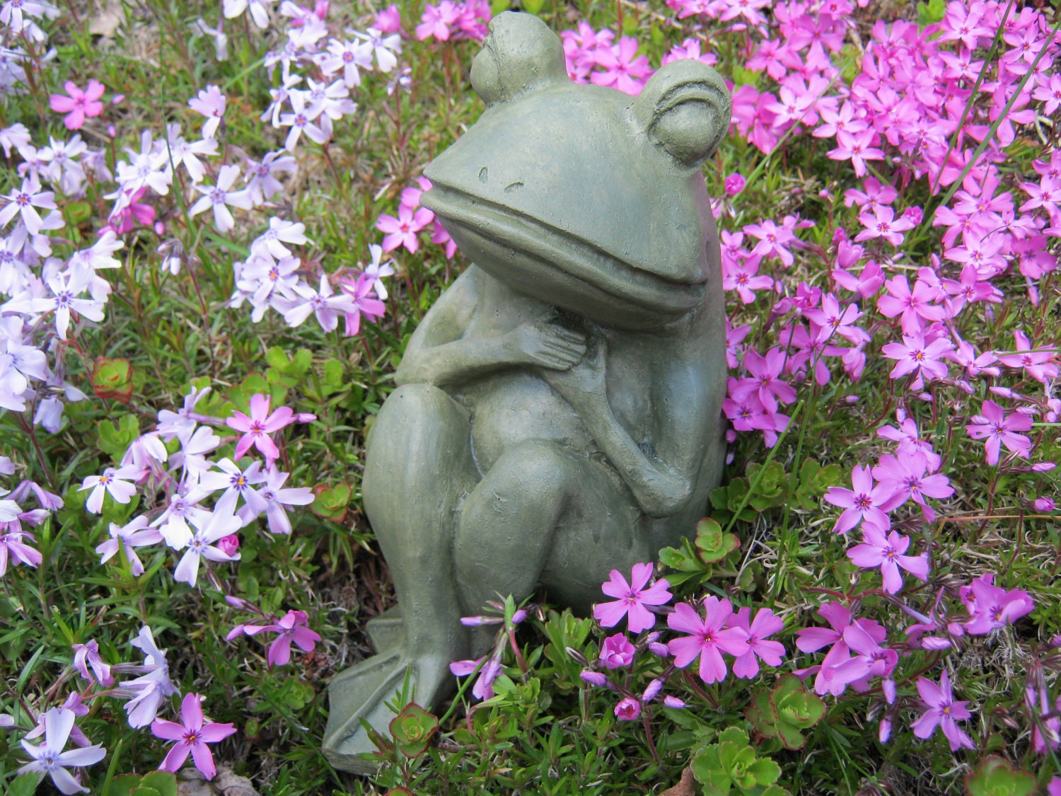 Will You Be my Valentine, Green Frog With Hands Over Heart