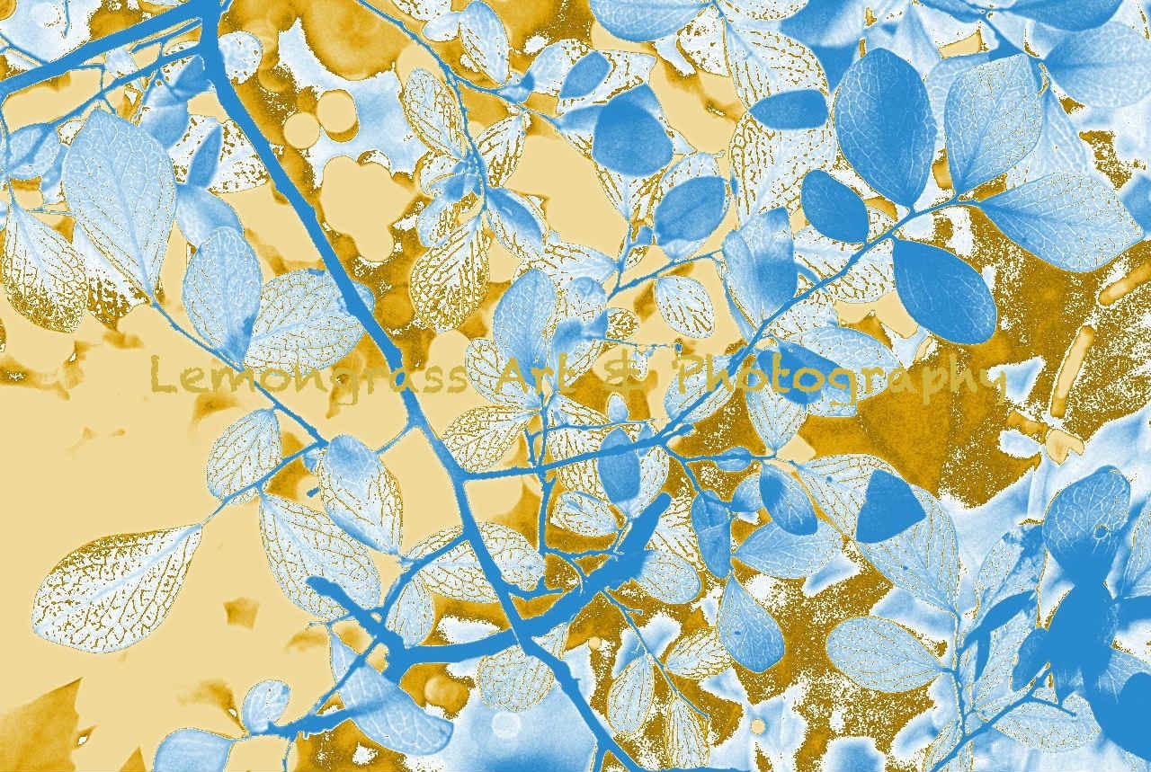 Tree Leaves Gold & Sky Blue Print Sunshine Filtering Through Leaves 6" x 9" also 4x6, 8x12, 10x15, 12x18