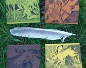 Midwest Wildlife Postcards