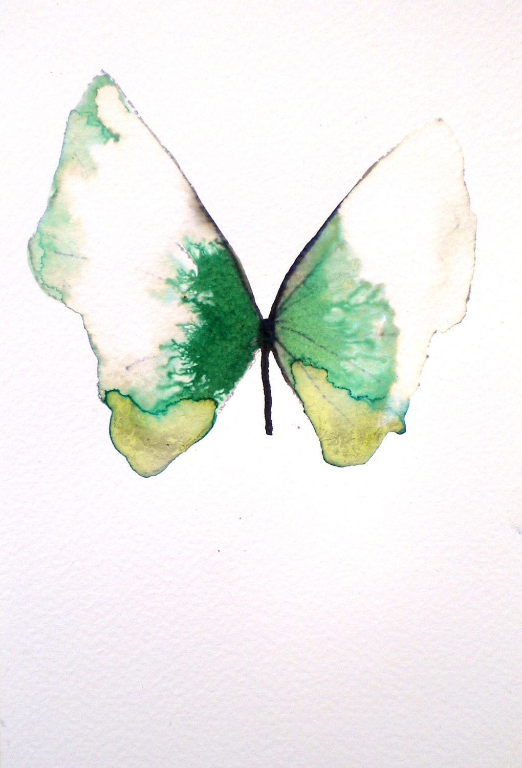 white and green butterfly 5x7"