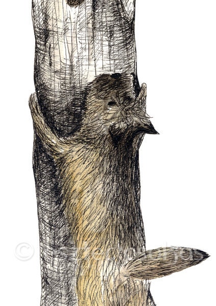 Love of Nature - Limited Edition Print