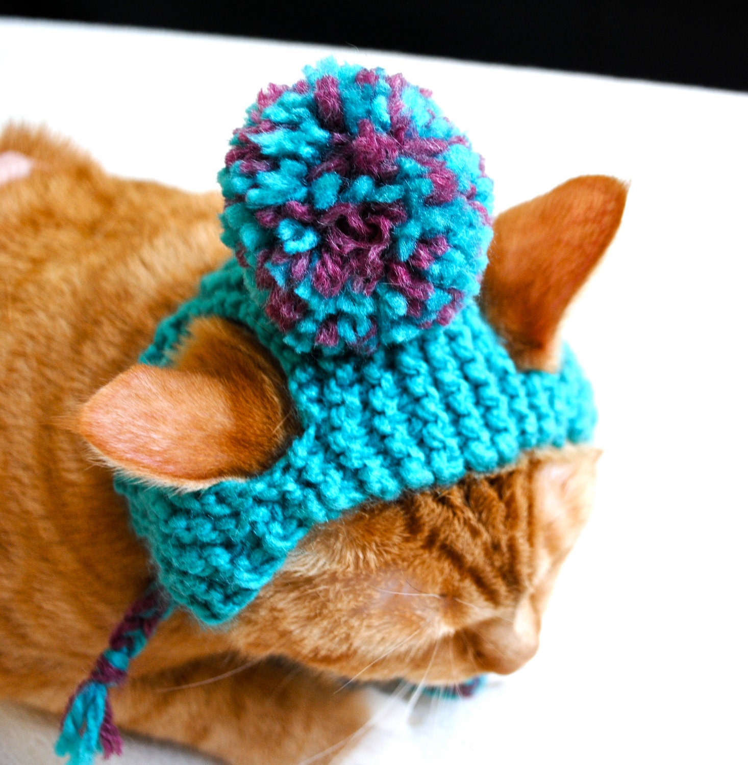 Pom Pom Cat Hat - Teal and Pink