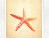 Sea Star Digital Watercolor Print - Red, Orange, Yellow - Natical Series