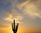 Western decor, Desert Sunset photography, cactus photo, orange decor, southwest icon wall art, 5x7 saguaro print