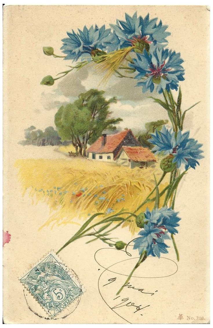 Vintage French Postcard - handwritten - french country home flowers stamp - FolieduJour