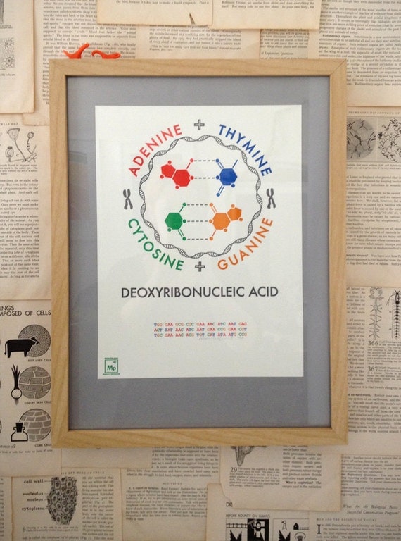 DNA letterpress poster -- science geekery