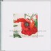 Fine Art Card - Red Poppy, Valentines Card - Flanders, Australian Botanical Flower, Square, Linen Greeting Card, Poppy Card 4