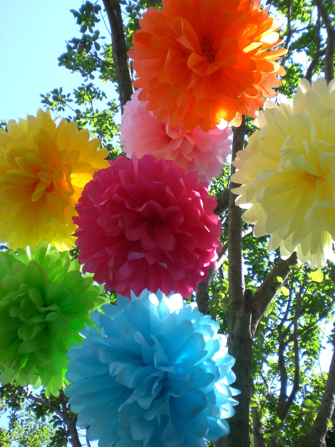 Birthday Party Decorations / 7 Hanging Tissue Paper Poms Plus 3 Paper Flowers /  Pick your Colors