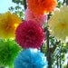 Birthday Party Decorations / 7 Hanging Tissue Paper Poms Plus 3 Paper Flowers /  Pick your Colors