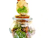 Terrarium Bird Pin Cushion Spring Nest Sewing Vintage Thread Gift