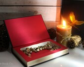 Hollow Book Safe - Hunger Games (COLLECTOR'S EDITION)