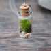 The Tiny Terrarium Necklace with live kentucky moss