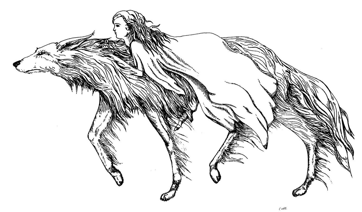 Set of eight line art cards, 5.5 by 8.5, blank inside.  Dragon, wolf and rider, cat profile and iris.