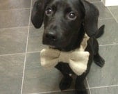 Two Burlap Ring Bearer Bow Tie Dog Collars