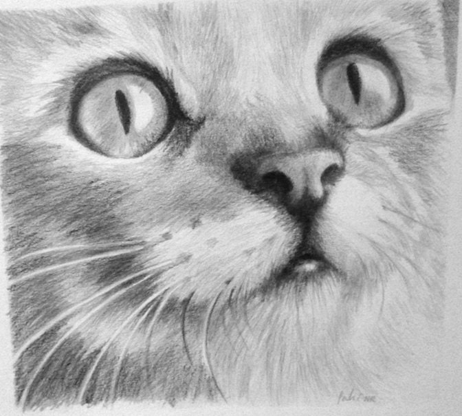 Kitty Cat Original Drawing Peek a boo