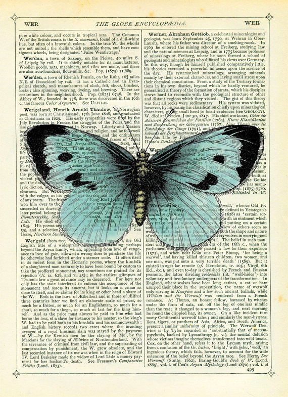 Blue Butterfly Dictionary Art Print Vintage Upcycled Book Page