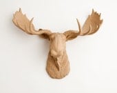 Faux Moose - The Agatha - Tan Resin Moose Head- Moose Resin Tan Faux Taxidermy- Chic & Trendy