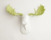 Moose Head - The Cesar - White w/ Mint Green Antlers Resin Moose Head- Moose Resin White Faux Taxidermy- Chic & Trendy