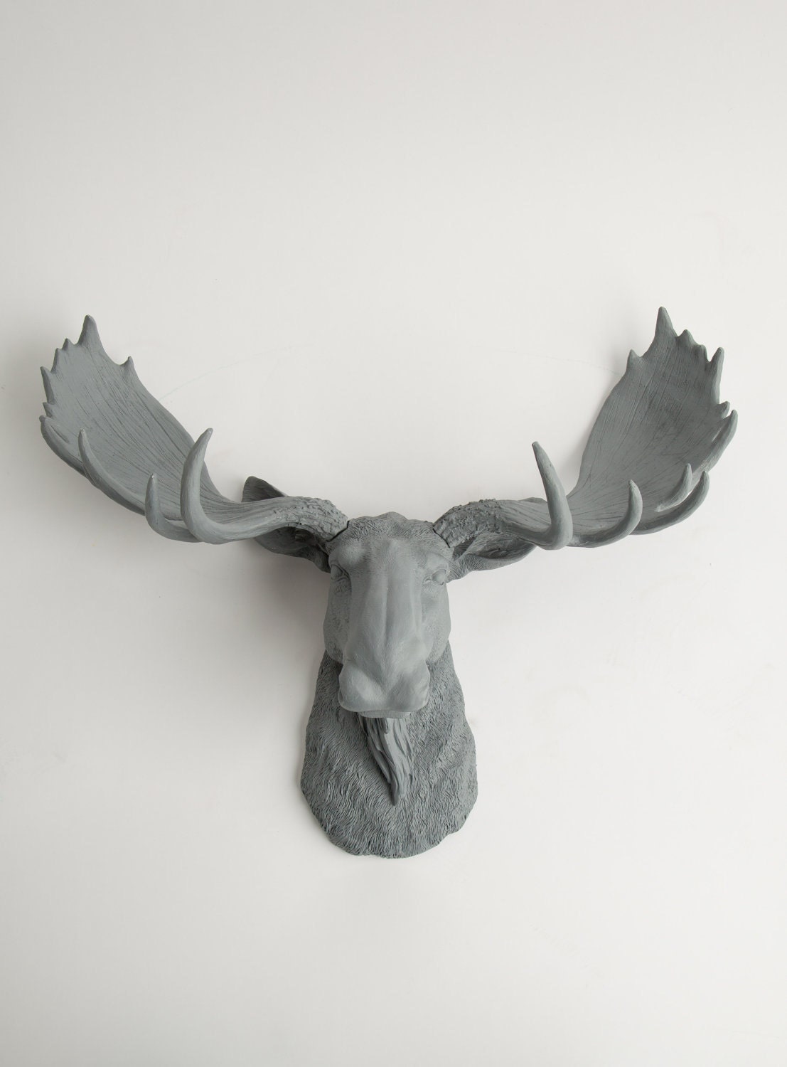 Moose Head - The Wellington - Gray Resin Moose Head- Moose Resin Grey Faux Taxidermy- Chic & Trendy