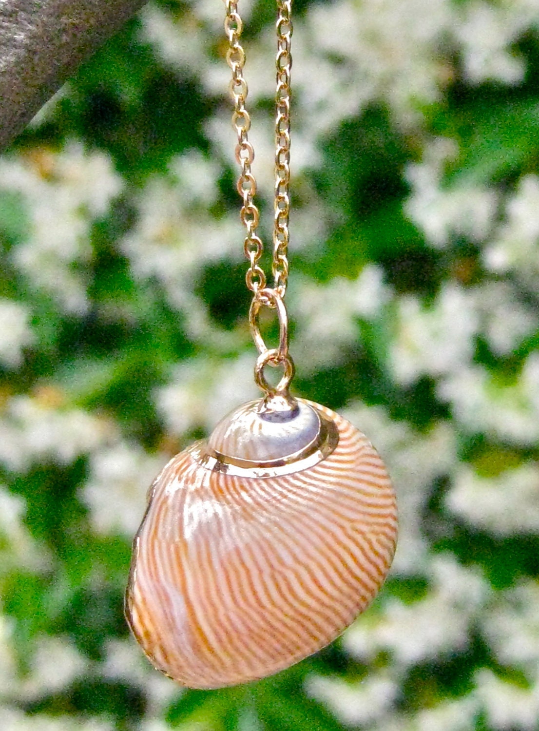 Lacquered Gold Nautilus Pendant