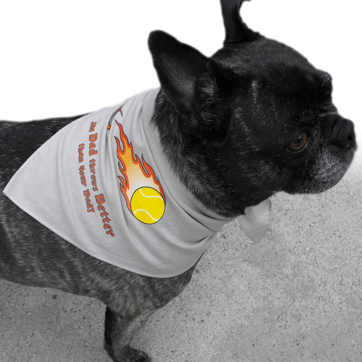 Dog Dad Pet Bandana - Father's Day Gift from the Dog