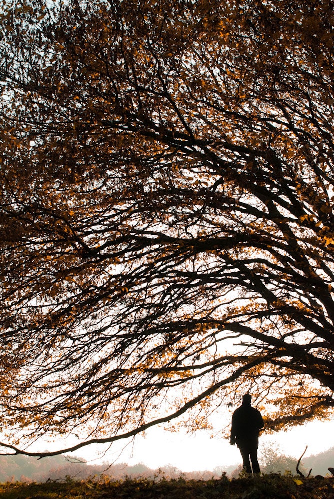 Under the safe arms of the tree -Fine Art Photography- Archival paper 12x8