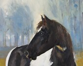 Spotted Horse 24 x 24