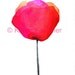 Art, Print, Giclee Print of Watercolor Painting: Mexican Paper Flower