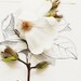 Magnolia and Flower illustration No. 6688