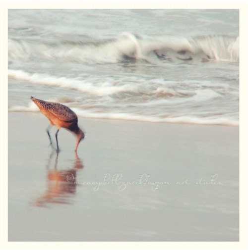 beach photography, bird photograph, soft sea, nautical pale silvery blue seaside, nursery art, peaceful waves sand piper 5x5