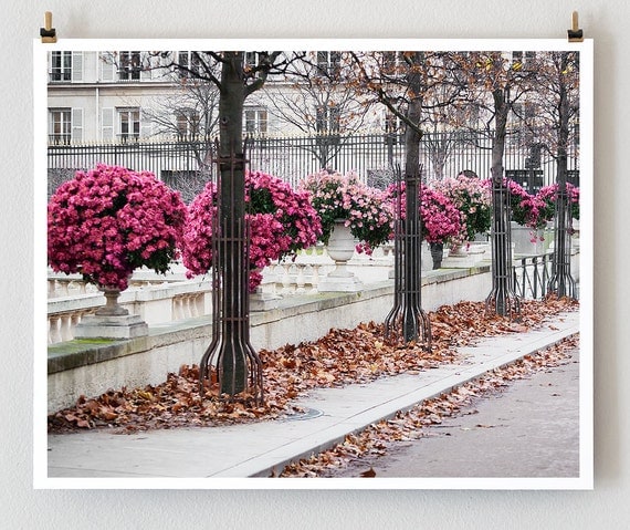 Luxembourg Autumn, Paris -  Paris Photo - Fine Art Photography - Paris Decor - French Photograph - Fall Decor