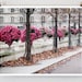 Luxembourg Autumn, Paris -  Paris Photo - Fine Art Photography - Paris Decor - French Photograph - Fall Decor