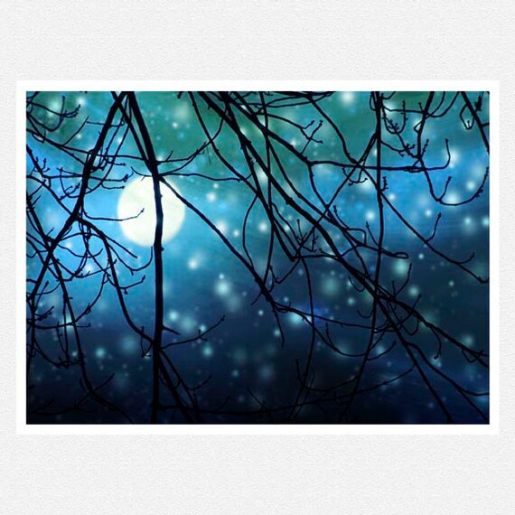 Nature Photography, blue, woodlands, trees, sun, snow, Winter Solstice, nature fine art photography print 8x12