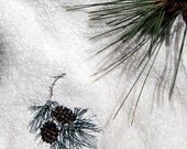 Pinecone Branch Bath Hand Towel Embroidered Creamy White Sage Green Tan Rustic Decor Cabin Hand
