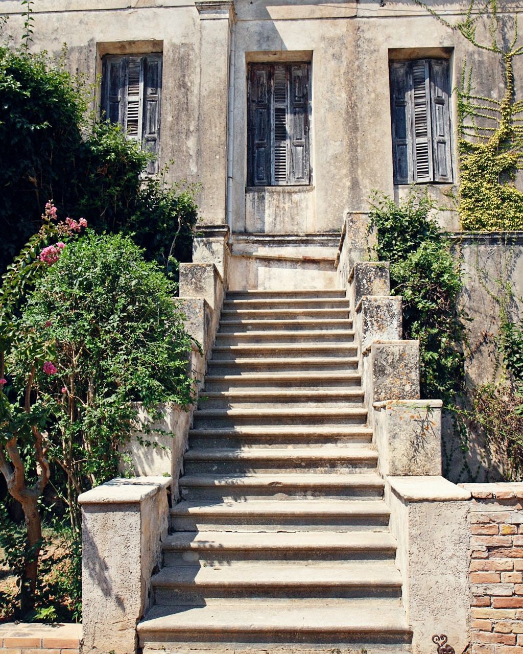 Rustic Natural Decor - Windows Stairs Photo - Olympia Greece Winery Photograph - Silver Blue - Greek Travel Print -  Mediterranean Wall Art
