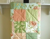 Baby Girl Quilt -  Painted Mums fabric by Heather Bailey -  Cottage Chic Baby Blanket in Salmon, Sage,  and Aqua