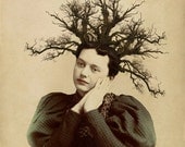 Nature Inspired Art, Mixed Media Collage Print, Twiggy, Altered Portrait of a Victorian Woman, frighten