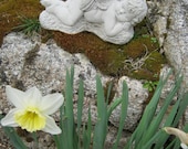 Cherub, Angelic Child Sleeping, Concrete Figure
