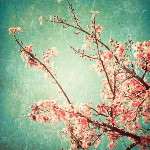 Spring photography, flower photography, love photography, photography, turquoise, pink, flower, home decor