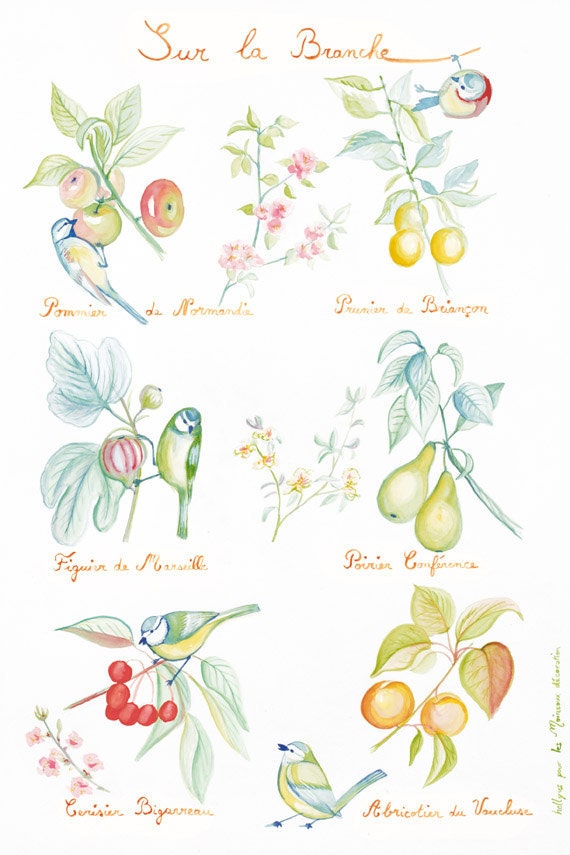 Kids poster : Birds and Fruits of the orchard - kids wall art - kids art print - kids decor