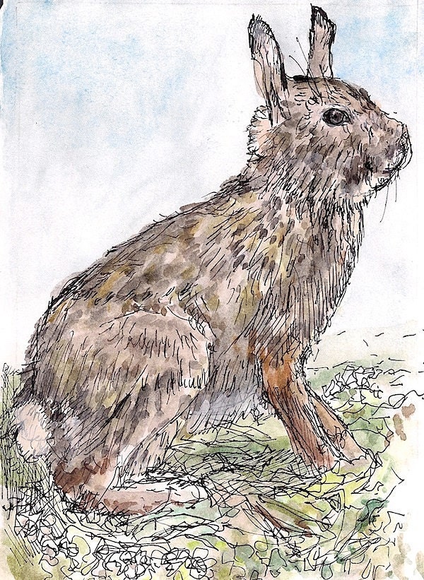 Original matted framed watercolor painting bunny wall art kids wall decor rabbit nursery decor children room decor, brown tan  8.25x 10.25