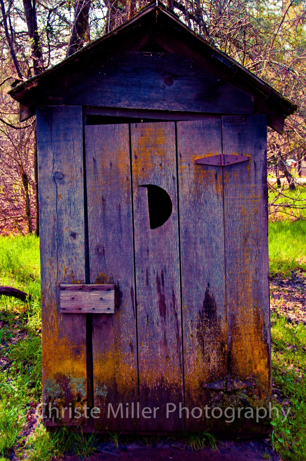 Purple and Orange Colorful Outhouse Photo 8x12 Print