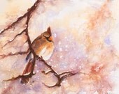 Bird Art - MAGICAL Winter Female Cardinal - Snowy Day - Watercolor Giclee Print 8x10