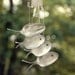 SALE 1800's Silver spoon fish wind chimes