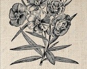 Oleander Flower Digital Download for Iron on Transfer