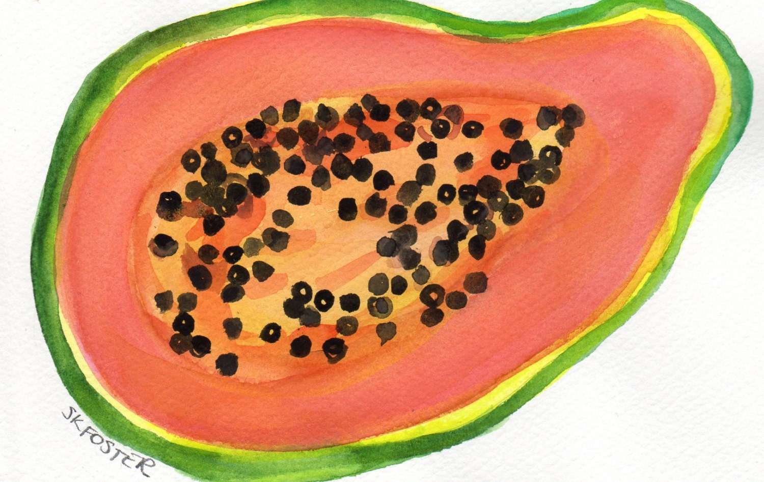 Papaya painting, Original  Watercolor Painting  Fruit Series